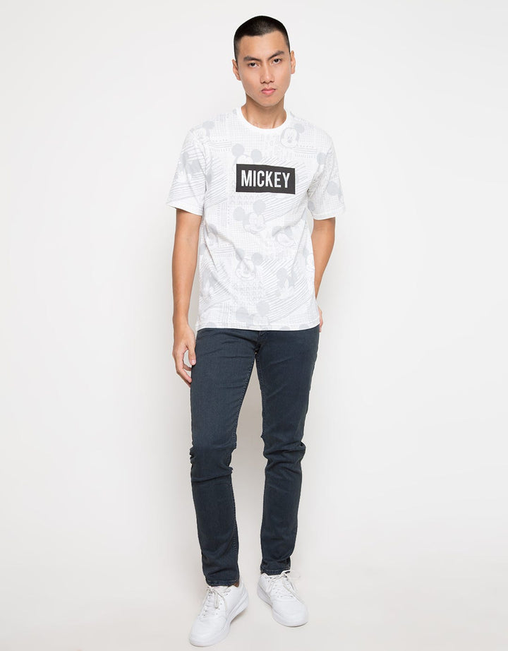 GADN08 66090100MIC T