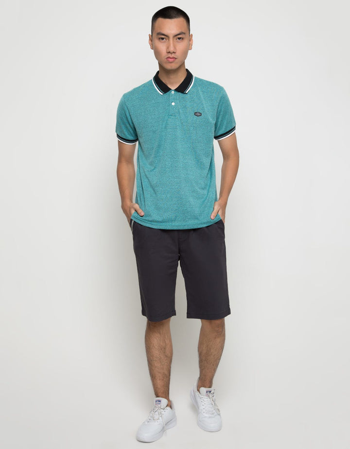 PLIB110 POLO BASIC T