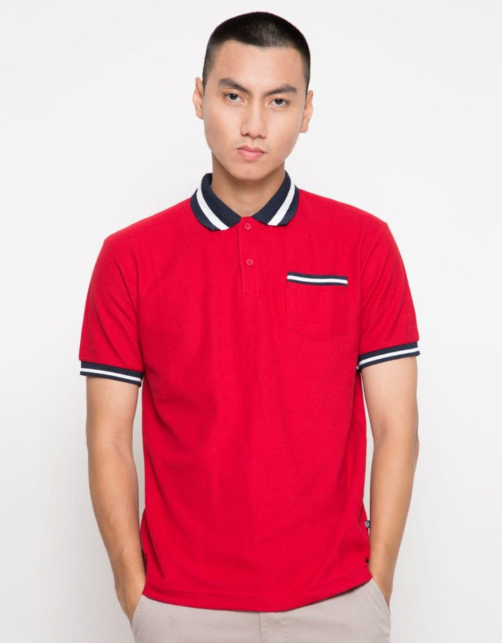 PLG286 POLO FASHION
