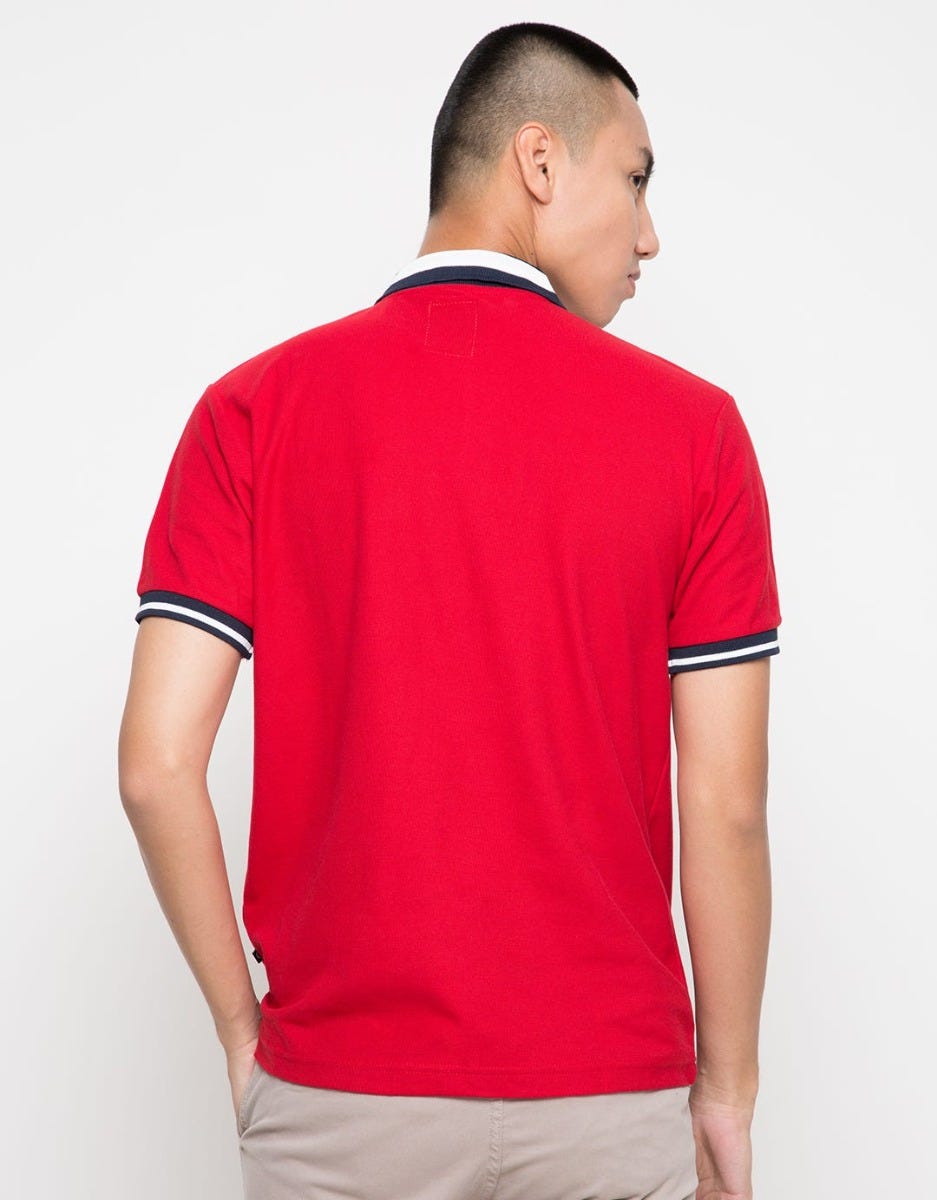 PLG286 POLO FASHION