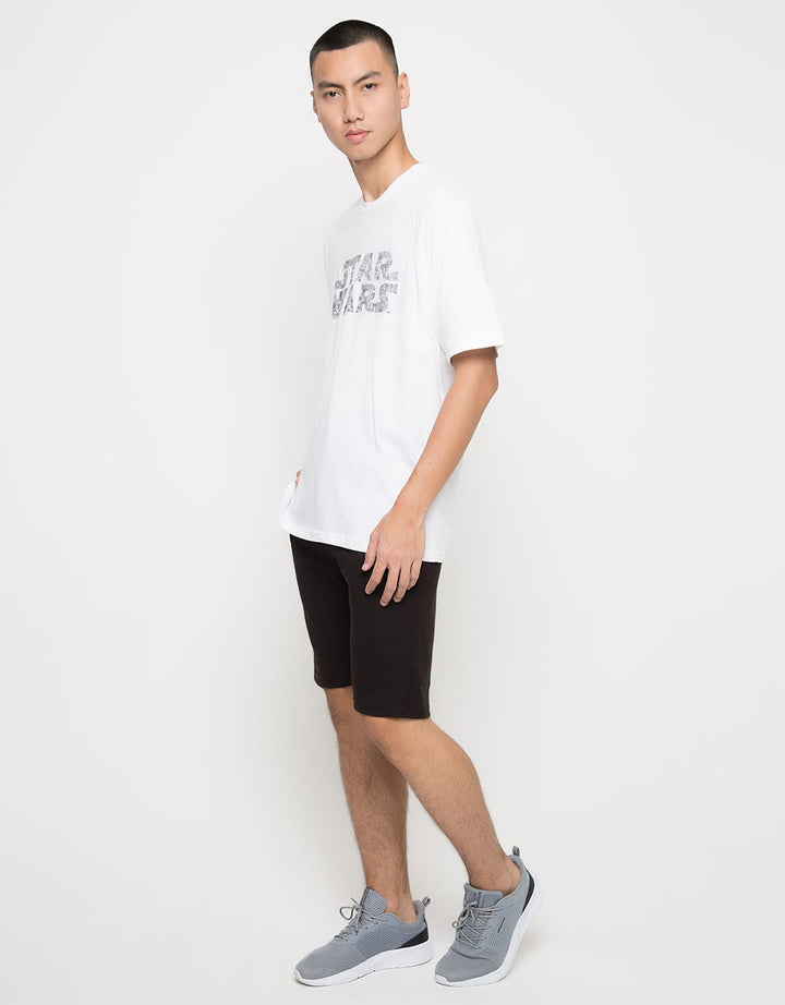 66090100SWS TS STARW