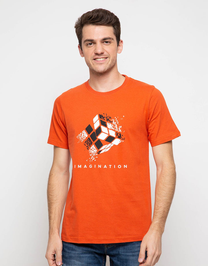 TSHIRT PRINT RUBIC -