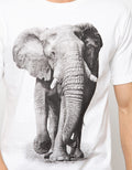 T-SHIRT ANIMAL ELEPH