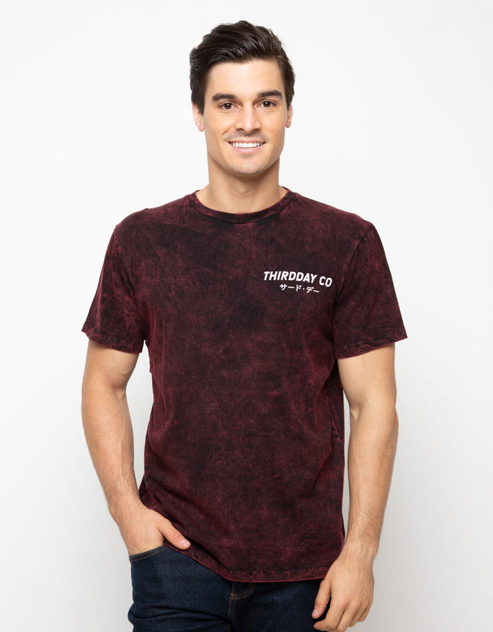 Third Day Co T-Shirt Washtees Hansief