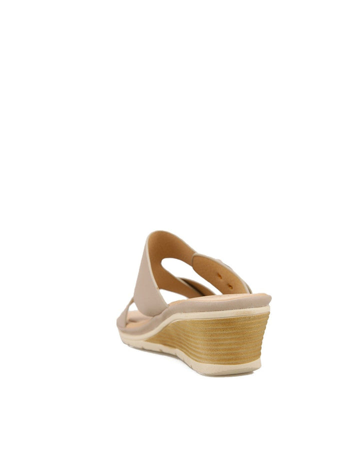 Laviola 2519 Wsm Wed