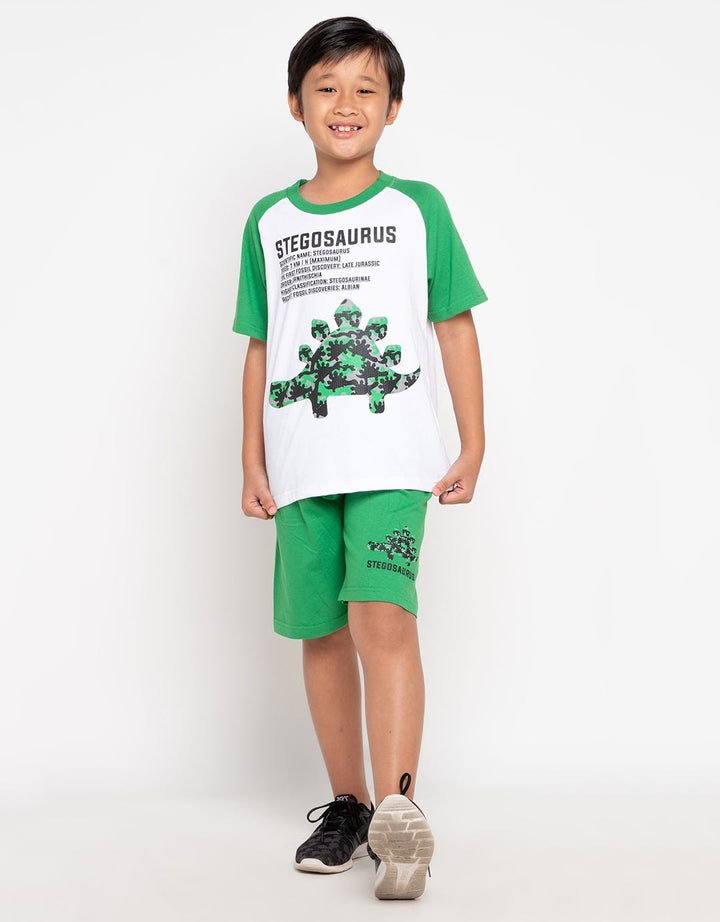 SET RAGLAN STEGO SHD