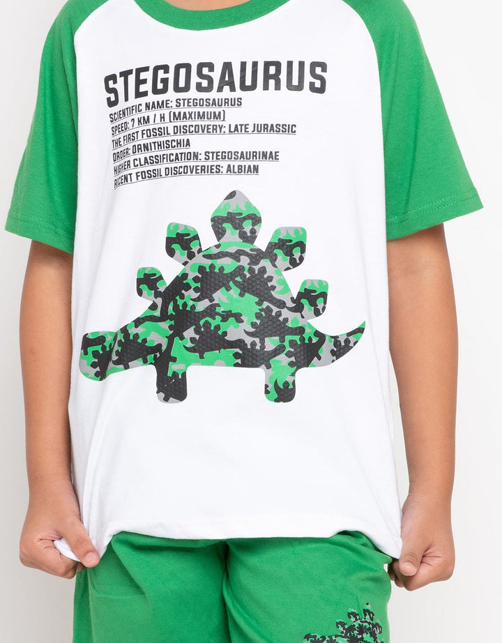 SET RAGLAN STEGO SHD