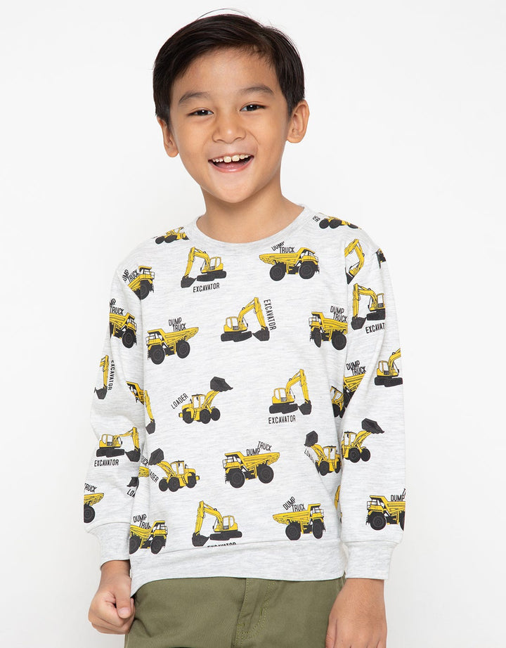 LS SWEATSHIRTS TRUK