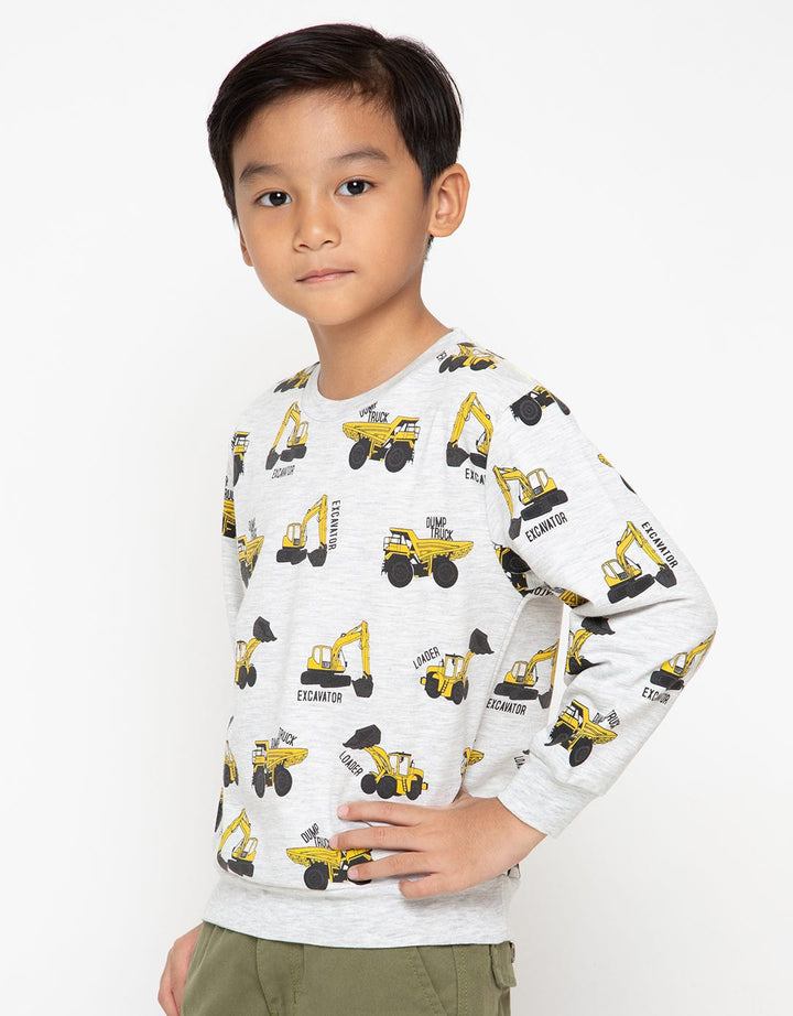 LS SWEATSHIRTS TRUK