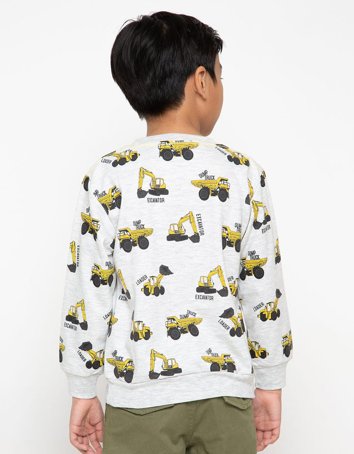LS SWEATSHIRTS TRUK