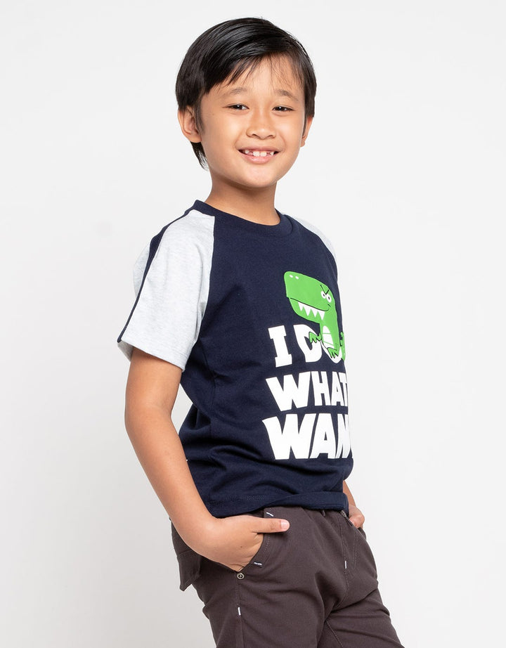 SS RAGLAN T-SHIRT IN