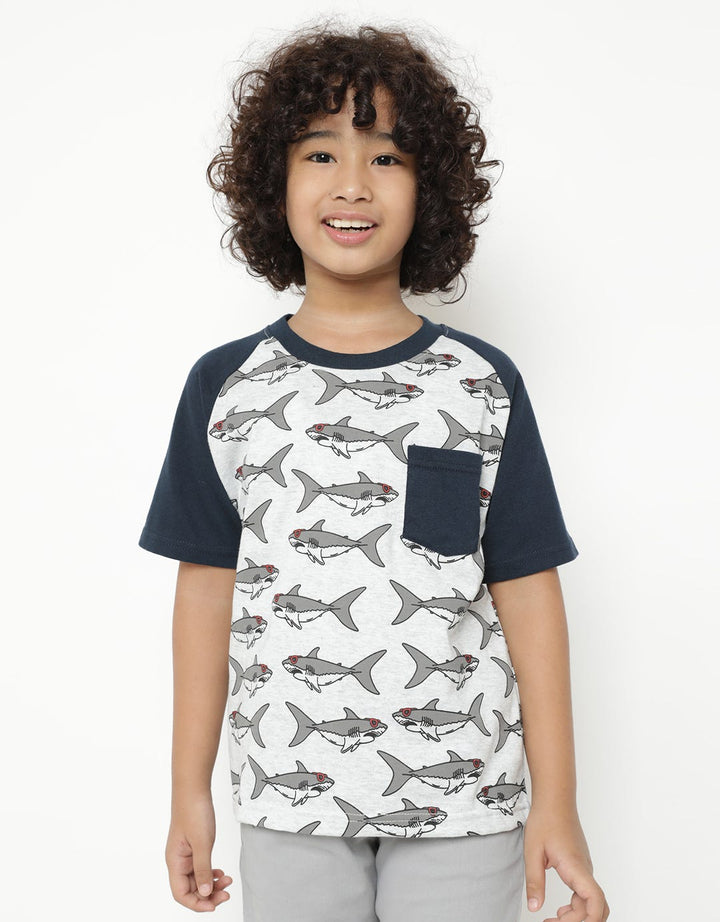 SS TSHIRT RAGLAN KAN