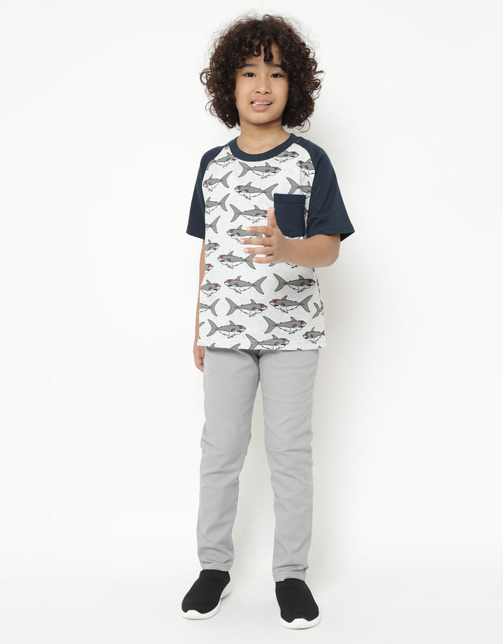 SS TSHIRT RAGLAN KAN