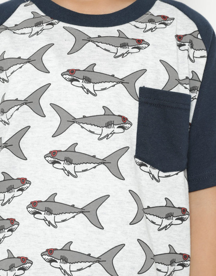 SS TSHIRT RAGLAN KAN