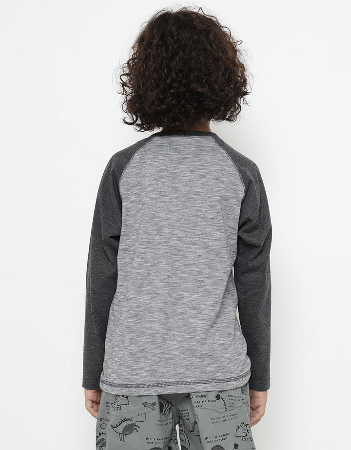 LS RAGLAN TSHIRT HEN
