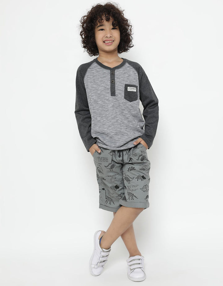 LS RAGLAN TSHIRT HEN
