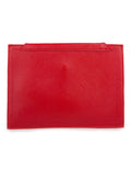 Louvre Paris Mini Clutch Trice