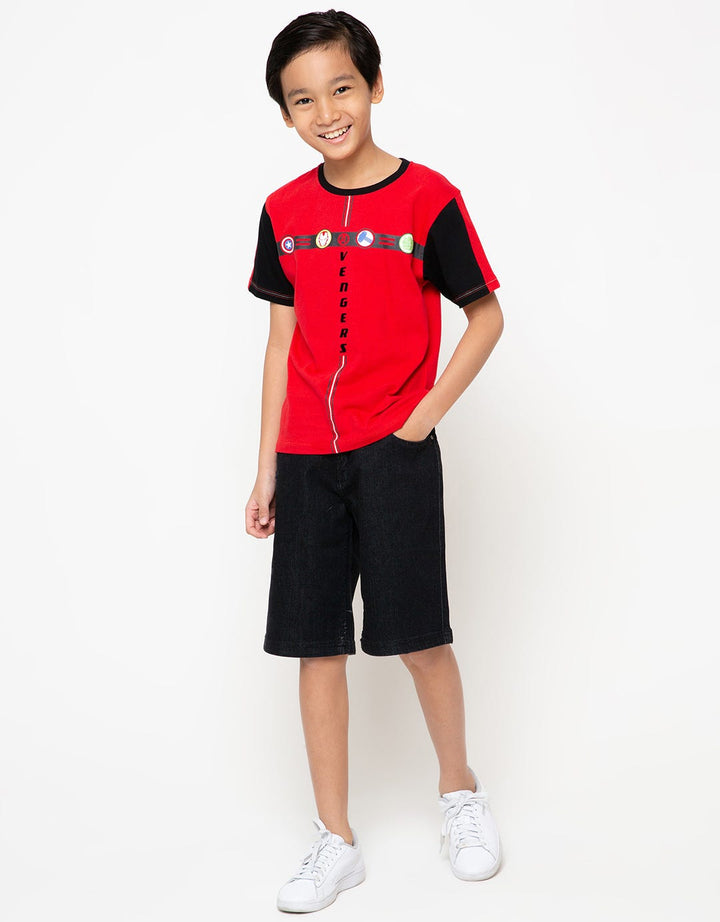 66020100OAV TS AVENG