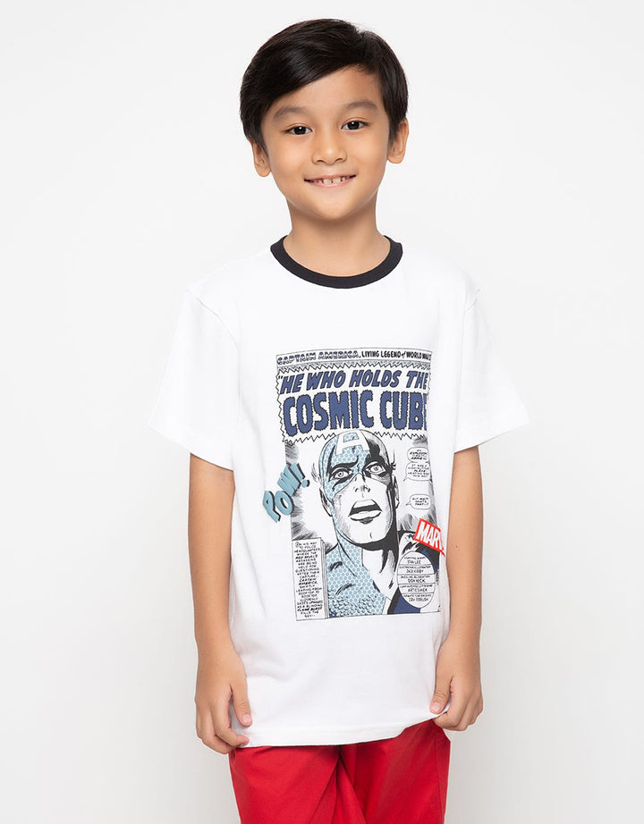 66040100MCR TS AVG C