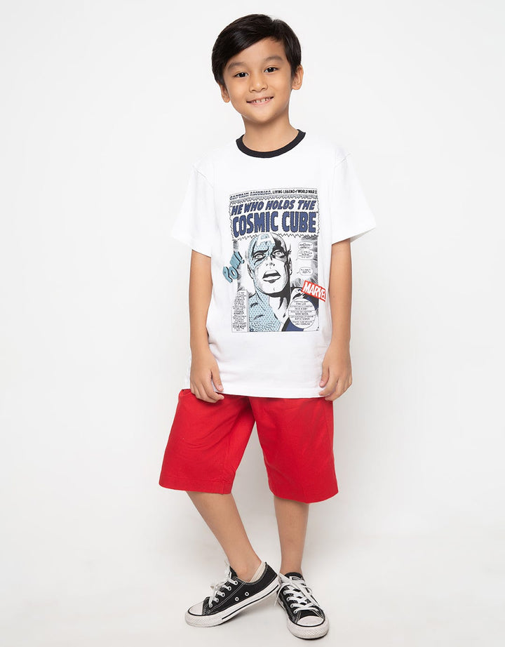 66040100MCR TS AVG C