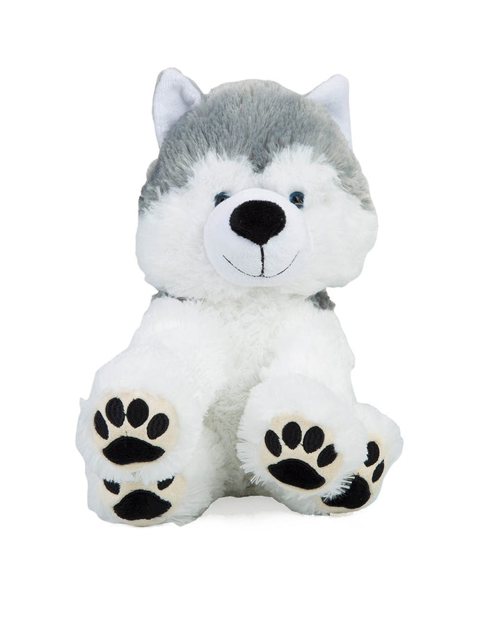 SITTING HUSKY 12