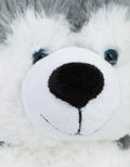 SITTING HUSKY 12