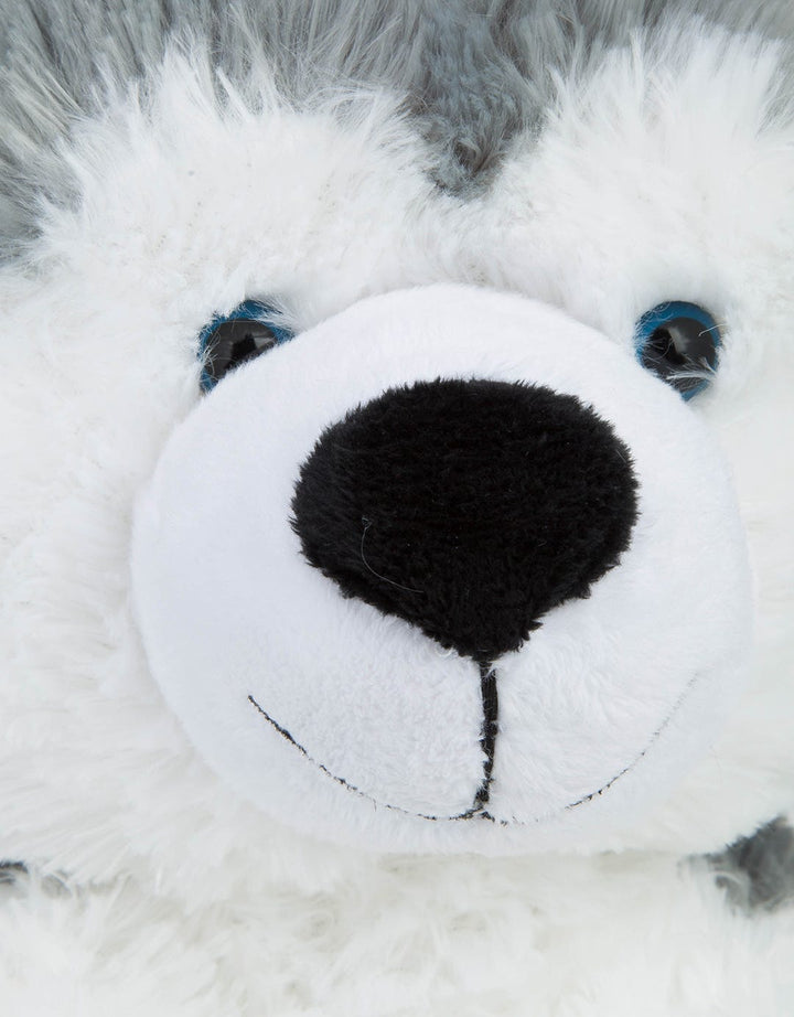 SITTING HUSKY 12