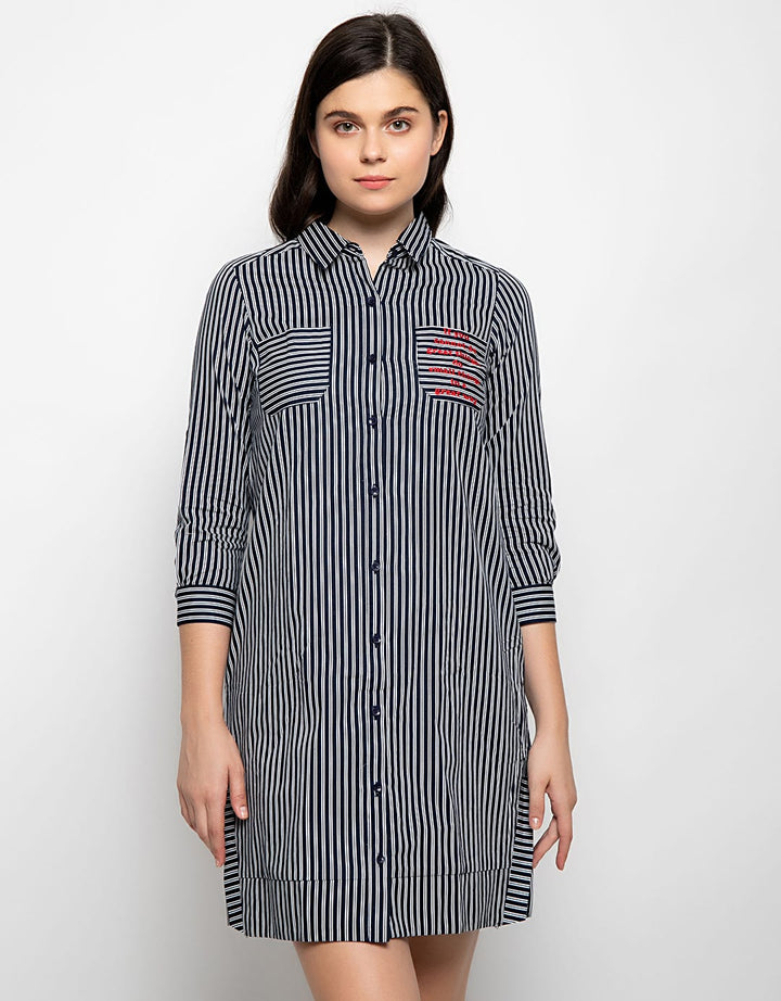 Minimal Roanna Shirt Dress