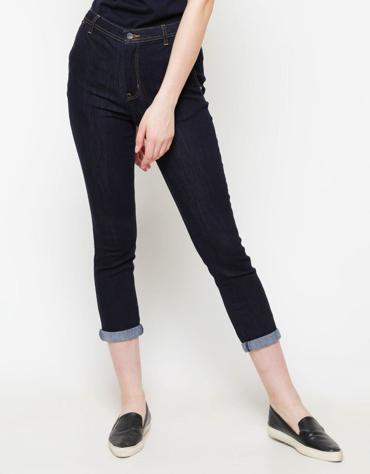 Morphidae Pant