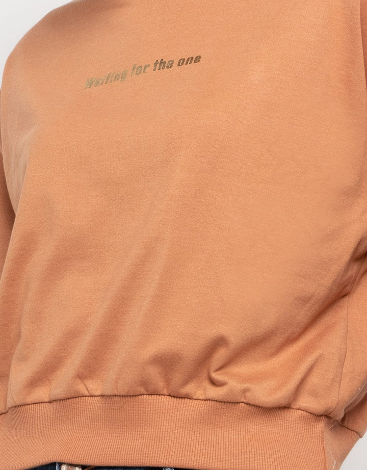 SWSLTLT668 SWT FOIL