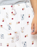 BOXER WIZO CAT