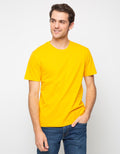 Paradigma Kaos Polos