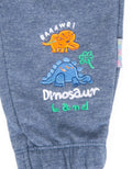 LP FP DINO