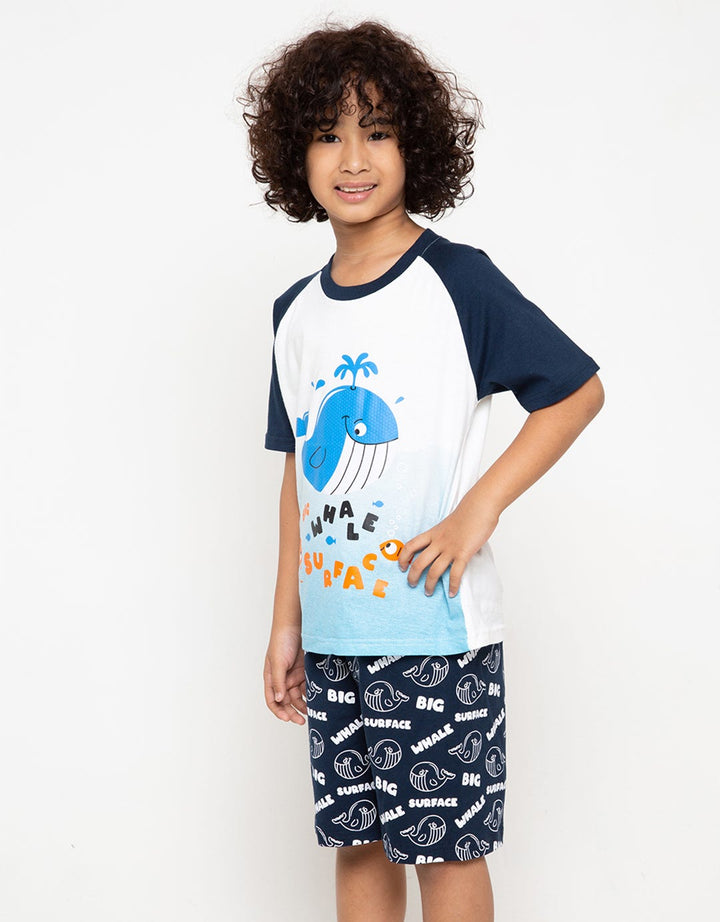 SET RAGLAN SHARK OMB