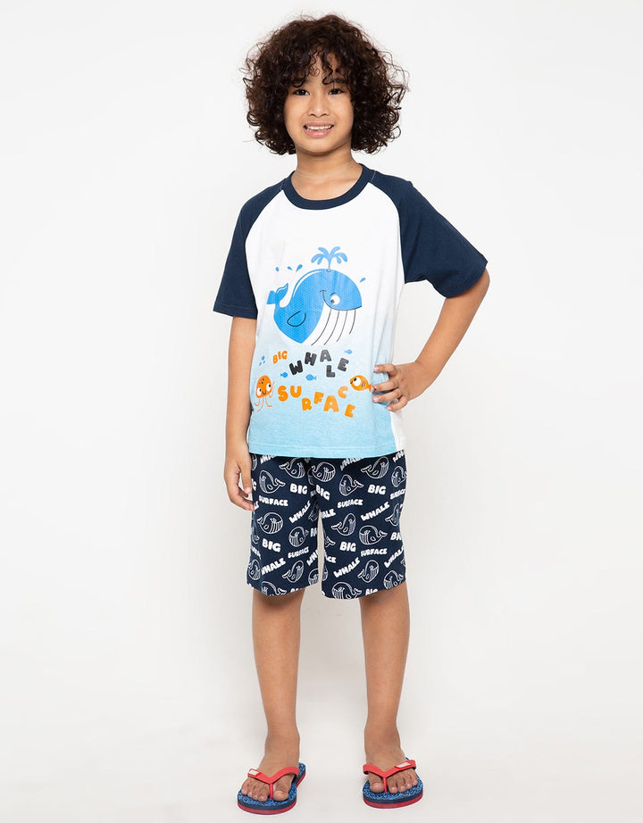 SET RAGLAN SHARK OMB