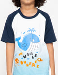 SET RAGLAN SHARK OMB