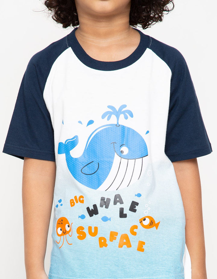 SET RAGLAN SHARK OMB