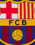 Rise Bundling Sprei Set Bed Cover Barca Football - 120 x 200 x 35 cm