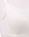 NW LACE UTB 34CUP BR