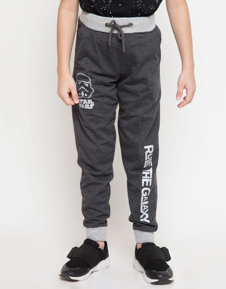 66040100SWS LP KN SW