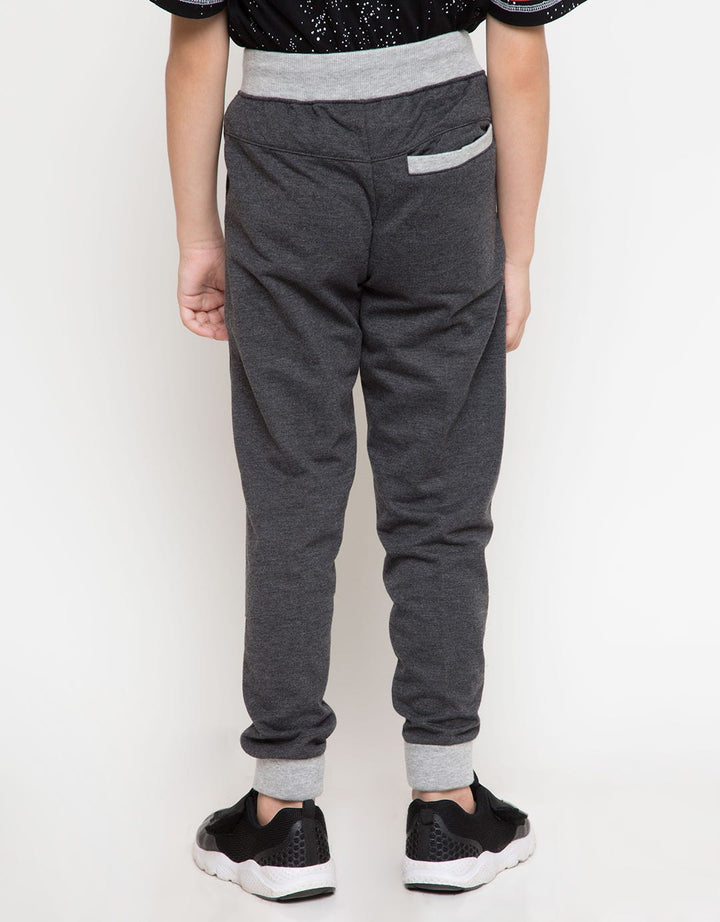 66040100SWS LP KN SW