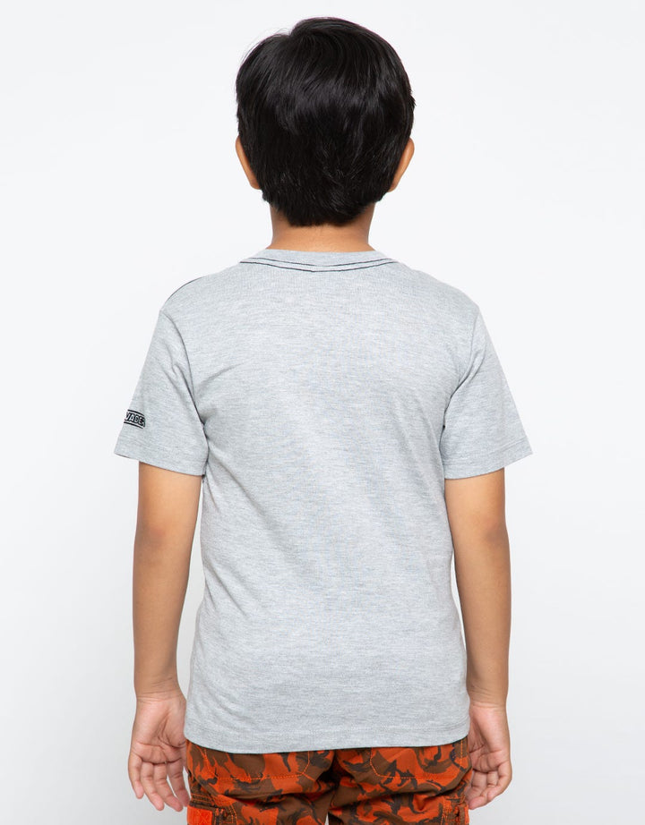 66020100SWS TS SW VA