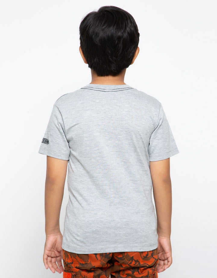 66020100SWS TS SW VA