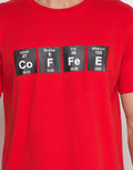 SS T-SHIRT BIG SIZE