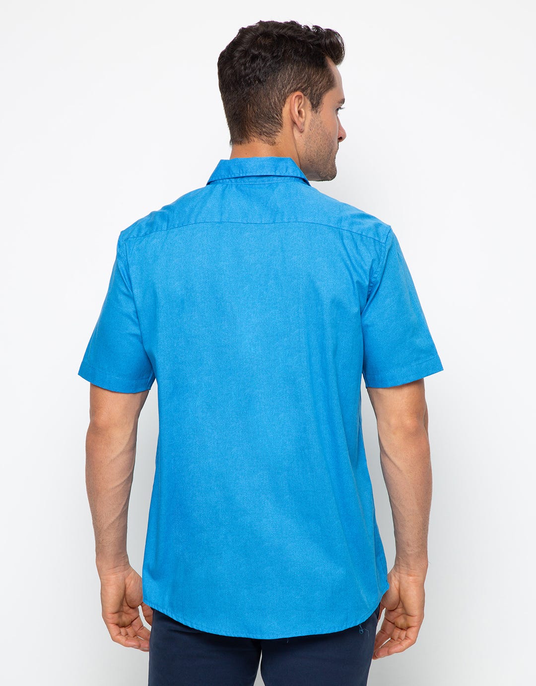 Walrus Motif Shirt Studio Gx20077B