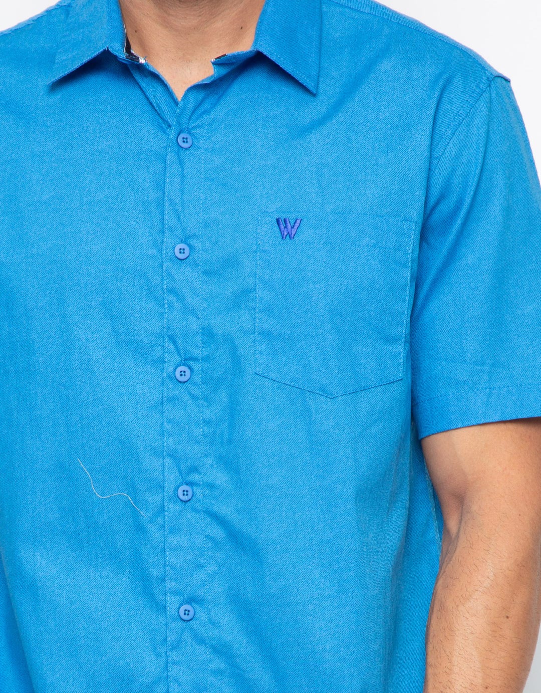 Walrus Motif Shirt Studio Gx20077B