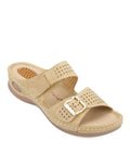 Laviola 2518 WSM Wed