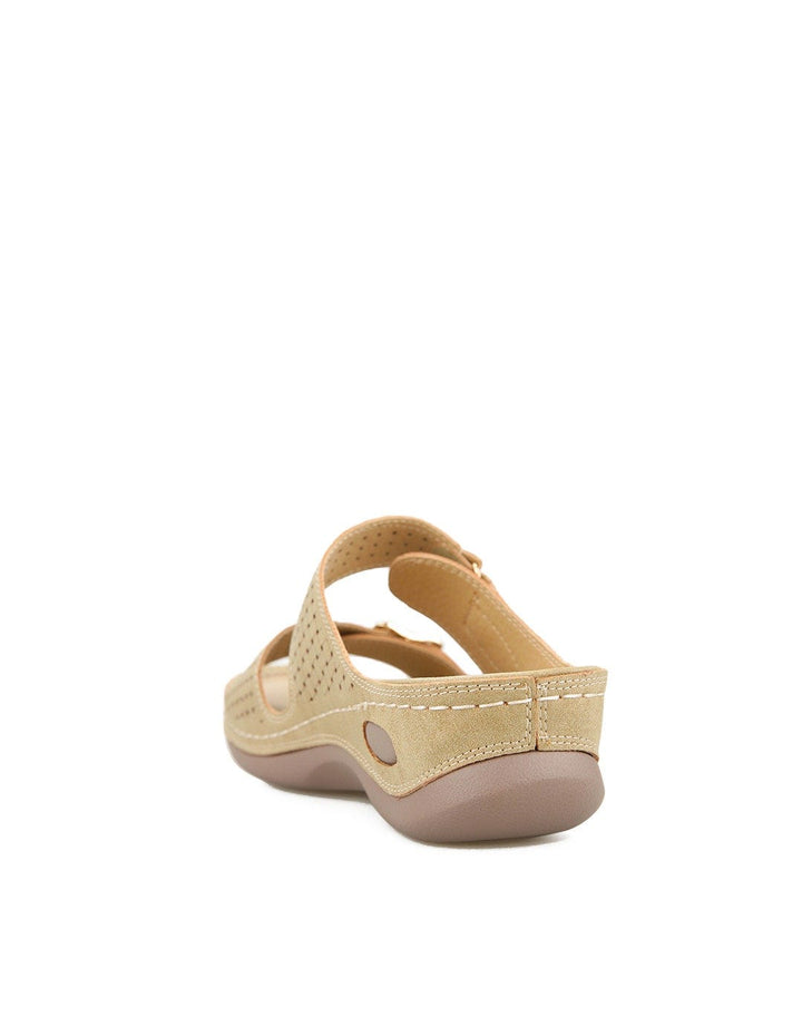 Laviola 2518 WSM Wed