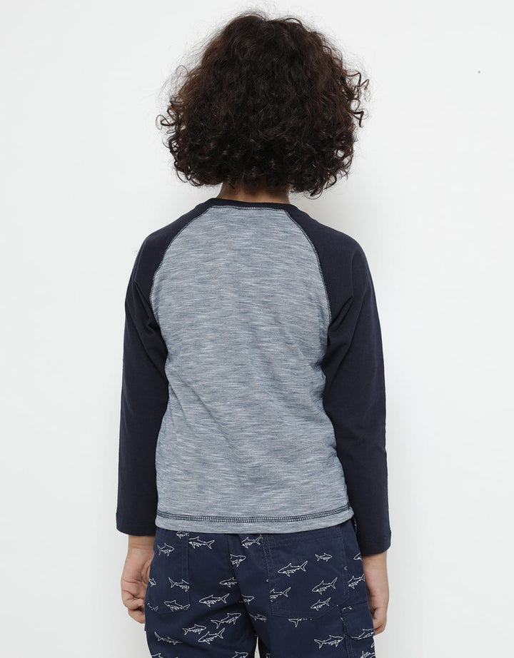 LS RAGLAN TSHIRT HEN