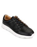 Cole Oxford Shoes Asc07